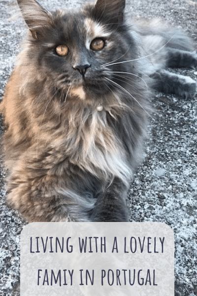 living-portugal